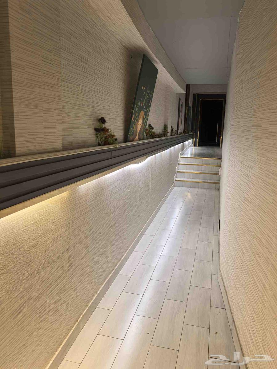 صالون مجهز بكل الاشتراطات لتقبيل جده حي طيبه64473836306691110