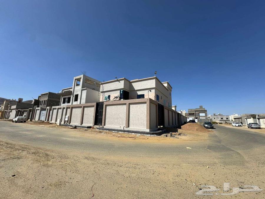 External Graphite64487216607747111