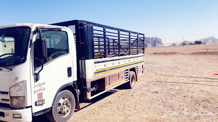 ديانة النقل داخل تبوك وخارجها64487055036675110