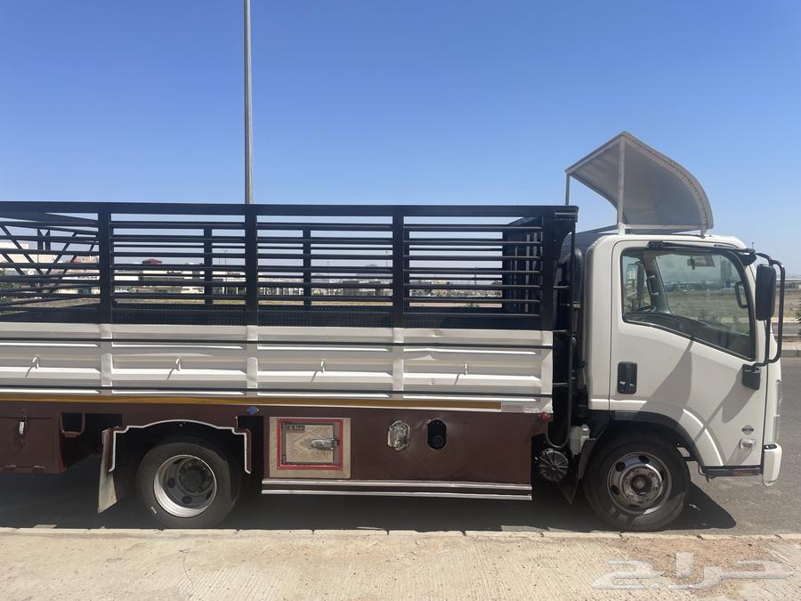 سيارة دينة نقل داخل الدمام وجميع أنحاء المملكة.64487247127555113