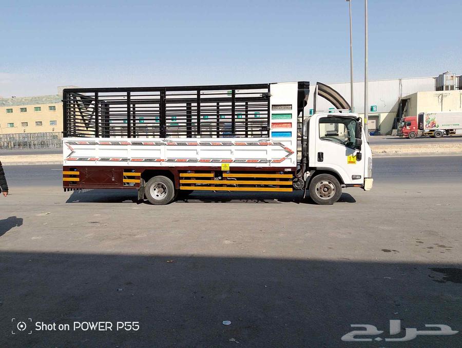 دينا 6متر وعشرين تفتح جنب للنقل داخل جميع مناطق المملكة64487246963329110