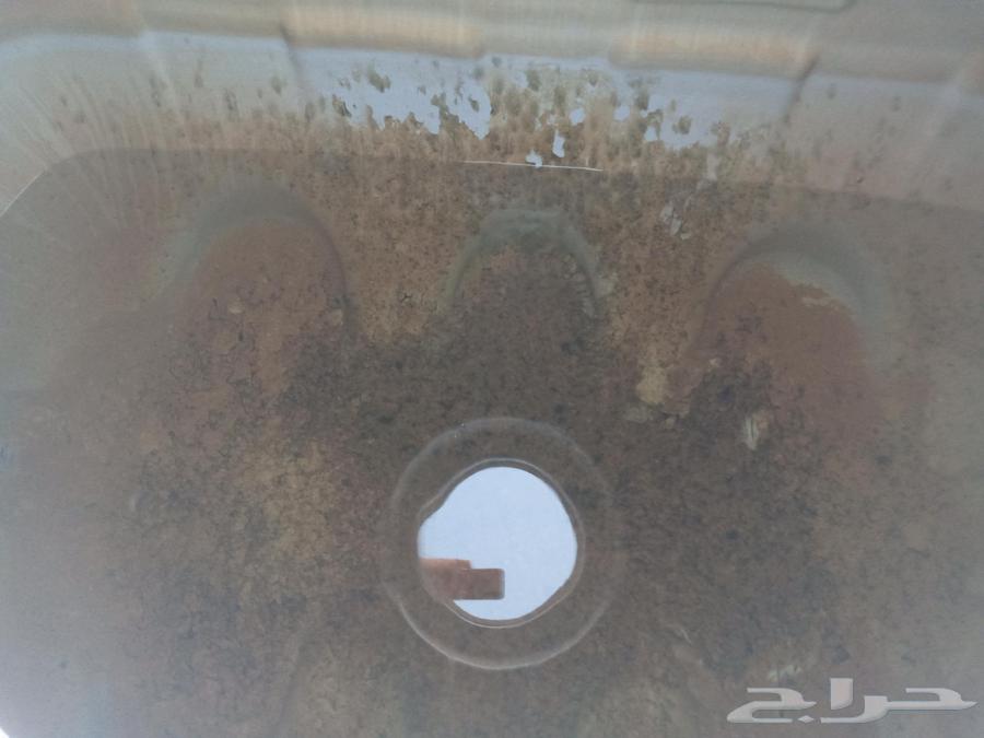 شركة تنظيف بجدة غسيل خزانات وعزلها مكافحة حشرات تنظيف منازل64481417952769114