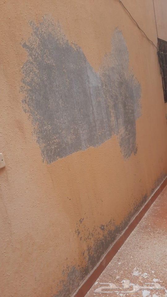 تحريق بويا ازاله بروفايل داخلي وخارجي64487200575234113