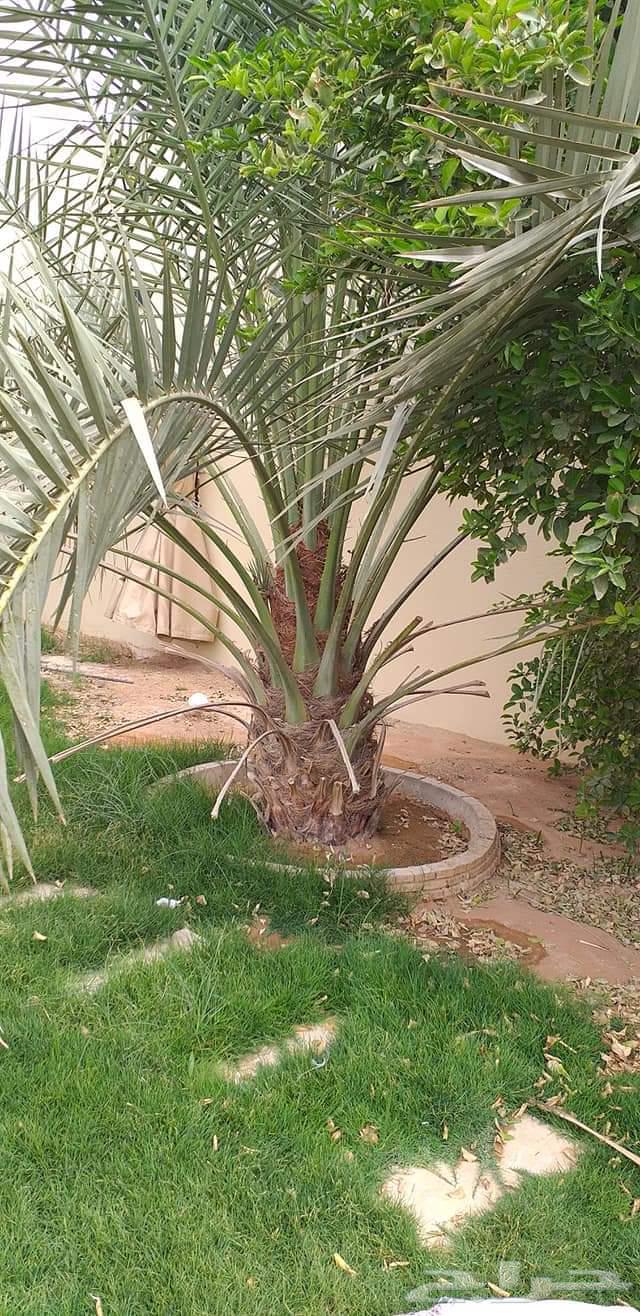 هاذ من تنفيذ أعمالنا لتواصل64481449027457110