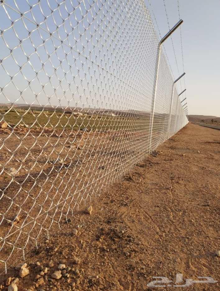 Fences and steel fences, fences and palm trees64487262766851111