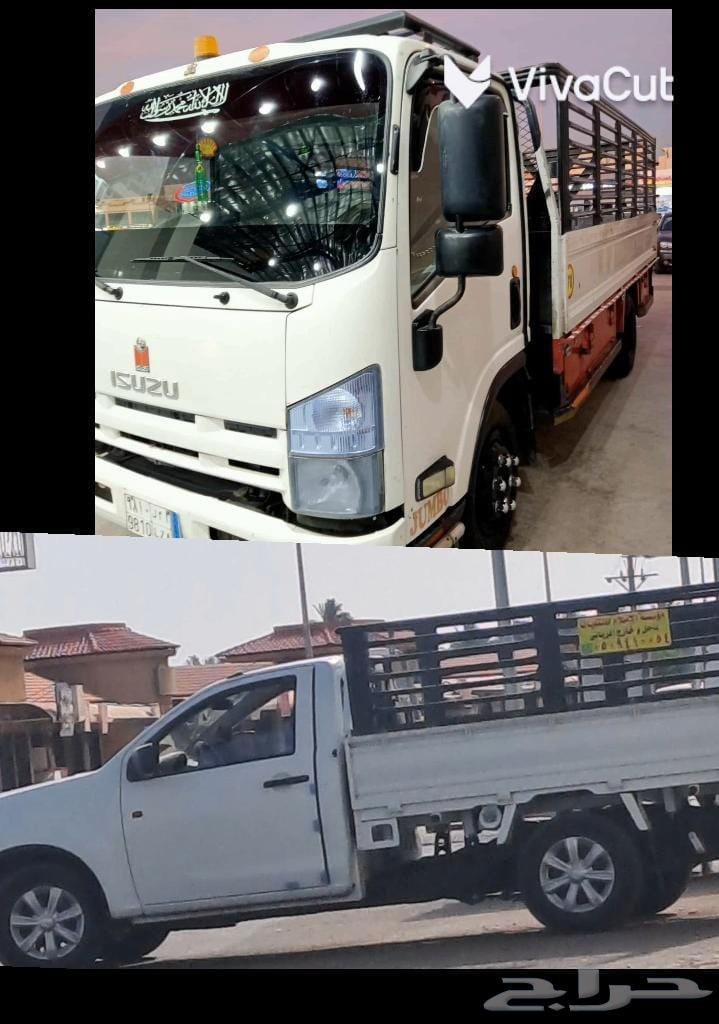 ونيت نقل عفش دخل وخارج الرياض64481417695873110