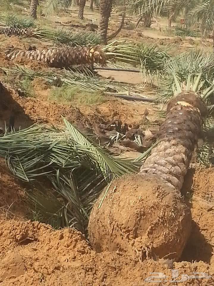 هاذ من تنفيذ أعمالنا لتواصل64481449027457111