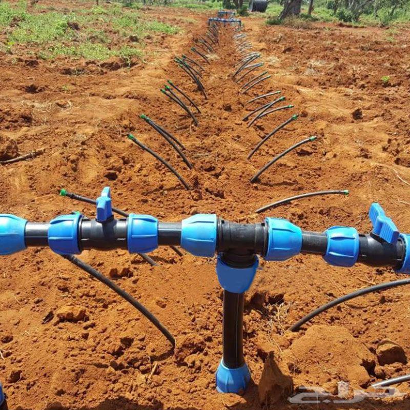 توريد وتركيب شبكات الري العادي و الاتوماتيك64481418029313113