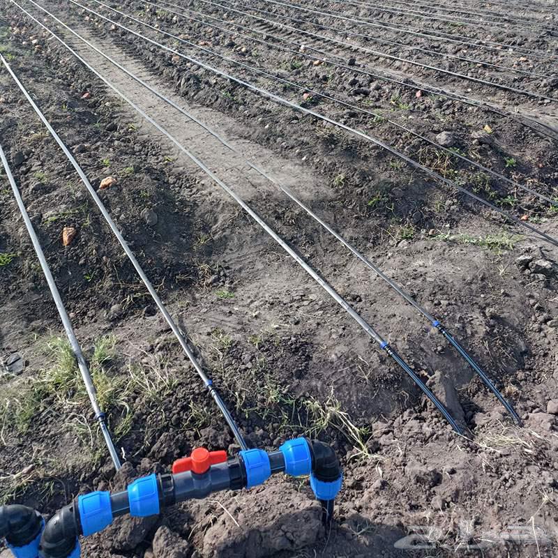 توريد وتركيب شبكات الري العادي و الاتوماتيك64481418029313110
