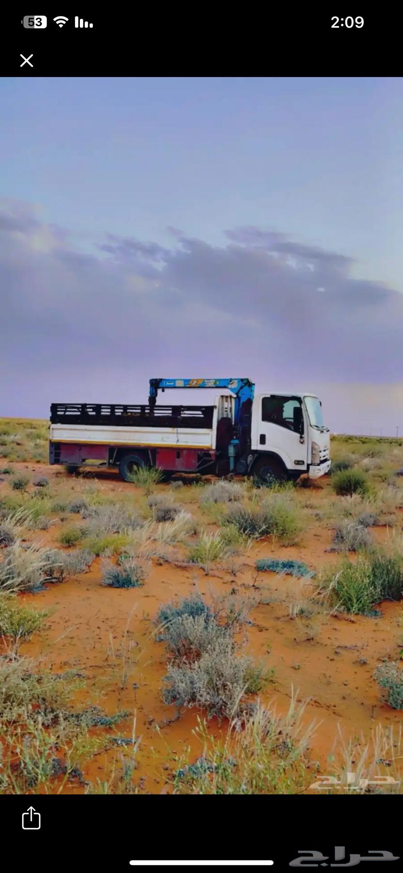 دينا ونش كرين64481432923393110