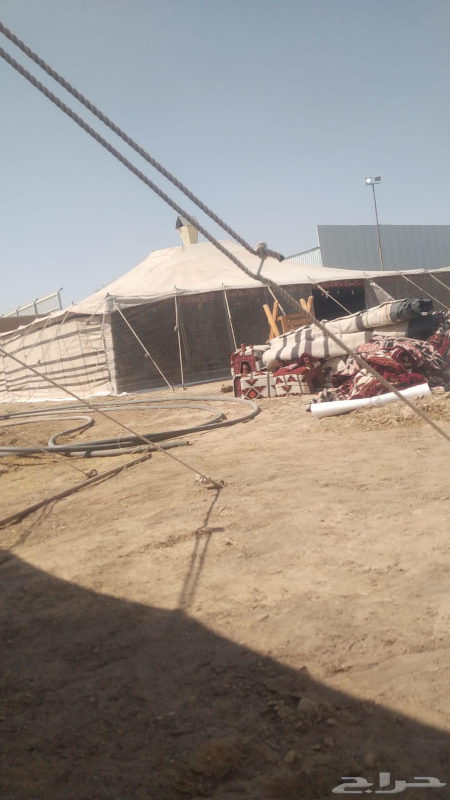 تركيب خيام وبيوت شعر في الرياض وخارج الرياض64487167654658113