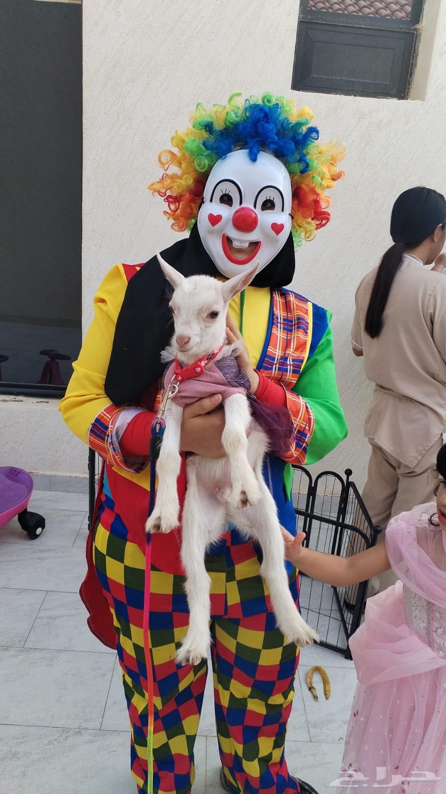 مهرجه دومى كرتونيه فعاليات الاطفال64487262523779110