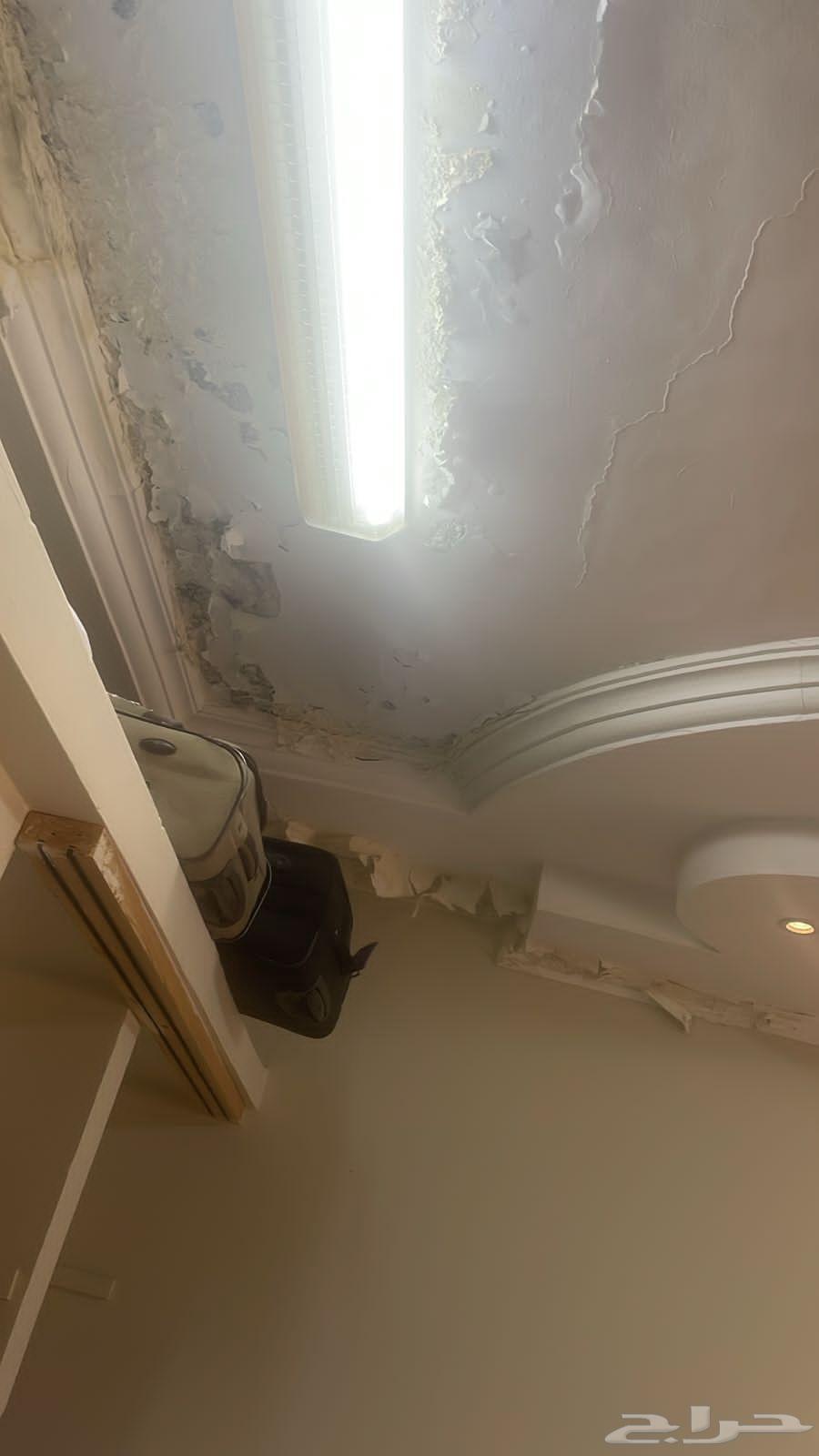 معلم دهانات داخلي وخارجي وديكورات64487168283009114