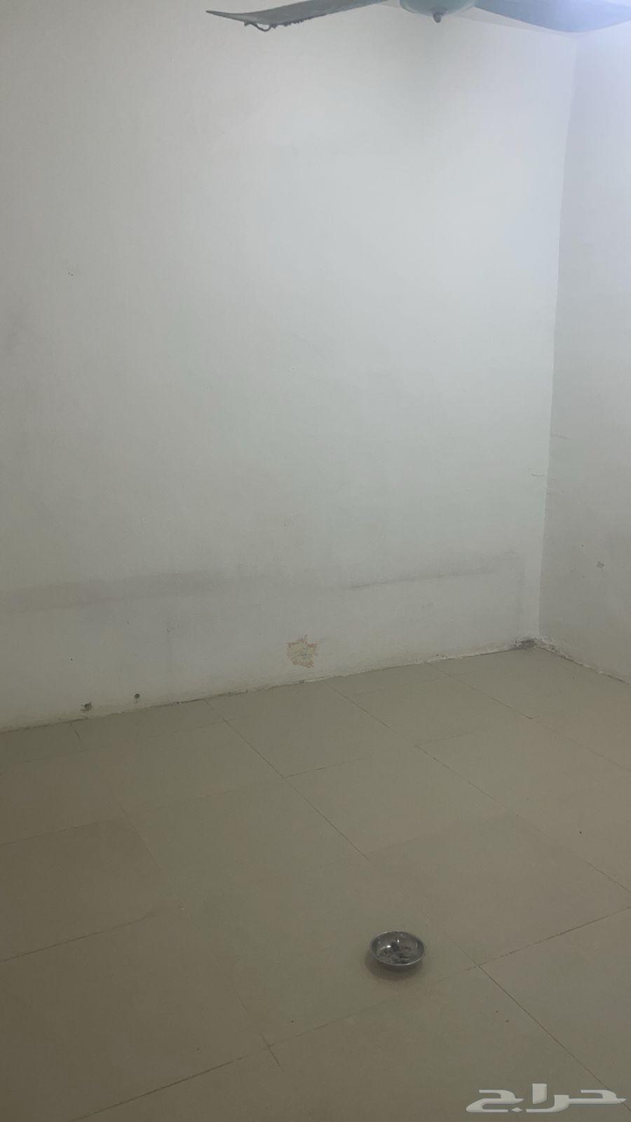 غرف عزاب للإيجار64481401561347113