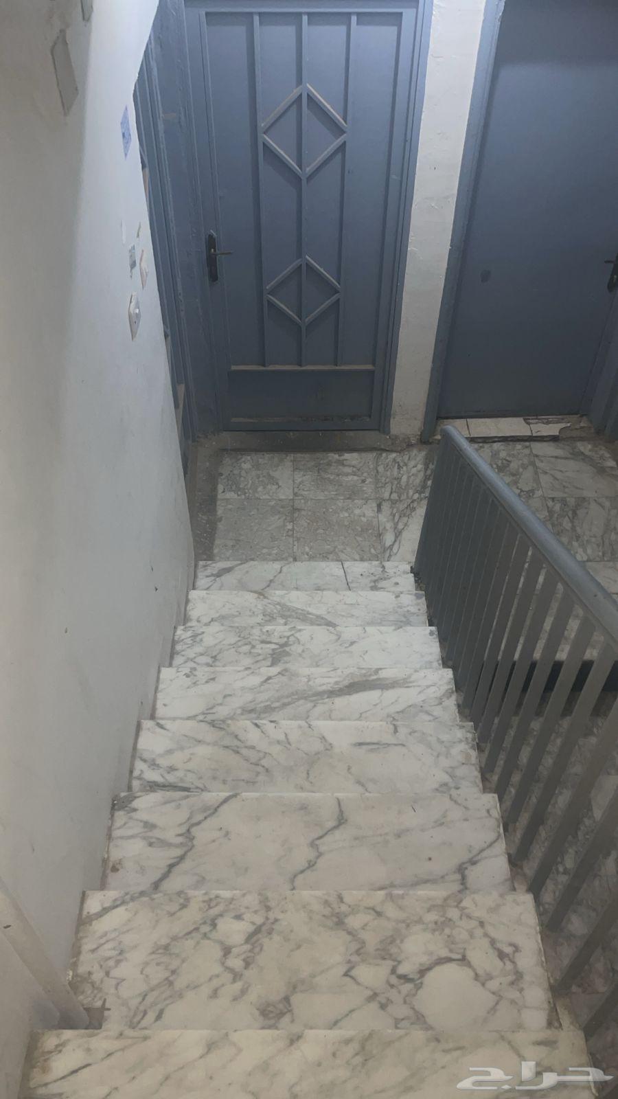 غرف عزاب للإيجار64481401561347110