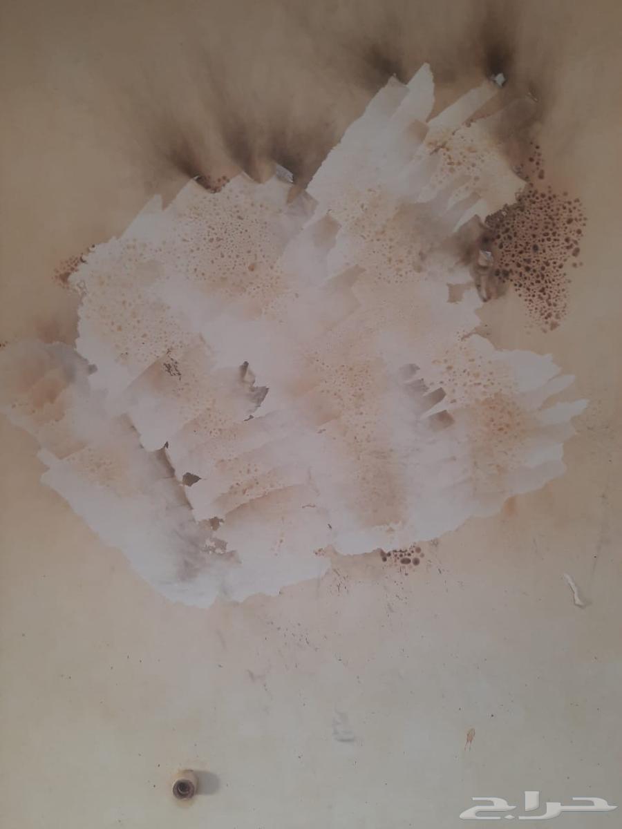تحريق بويا ازاله بروفايل داخلي وخارجي64487200575234112