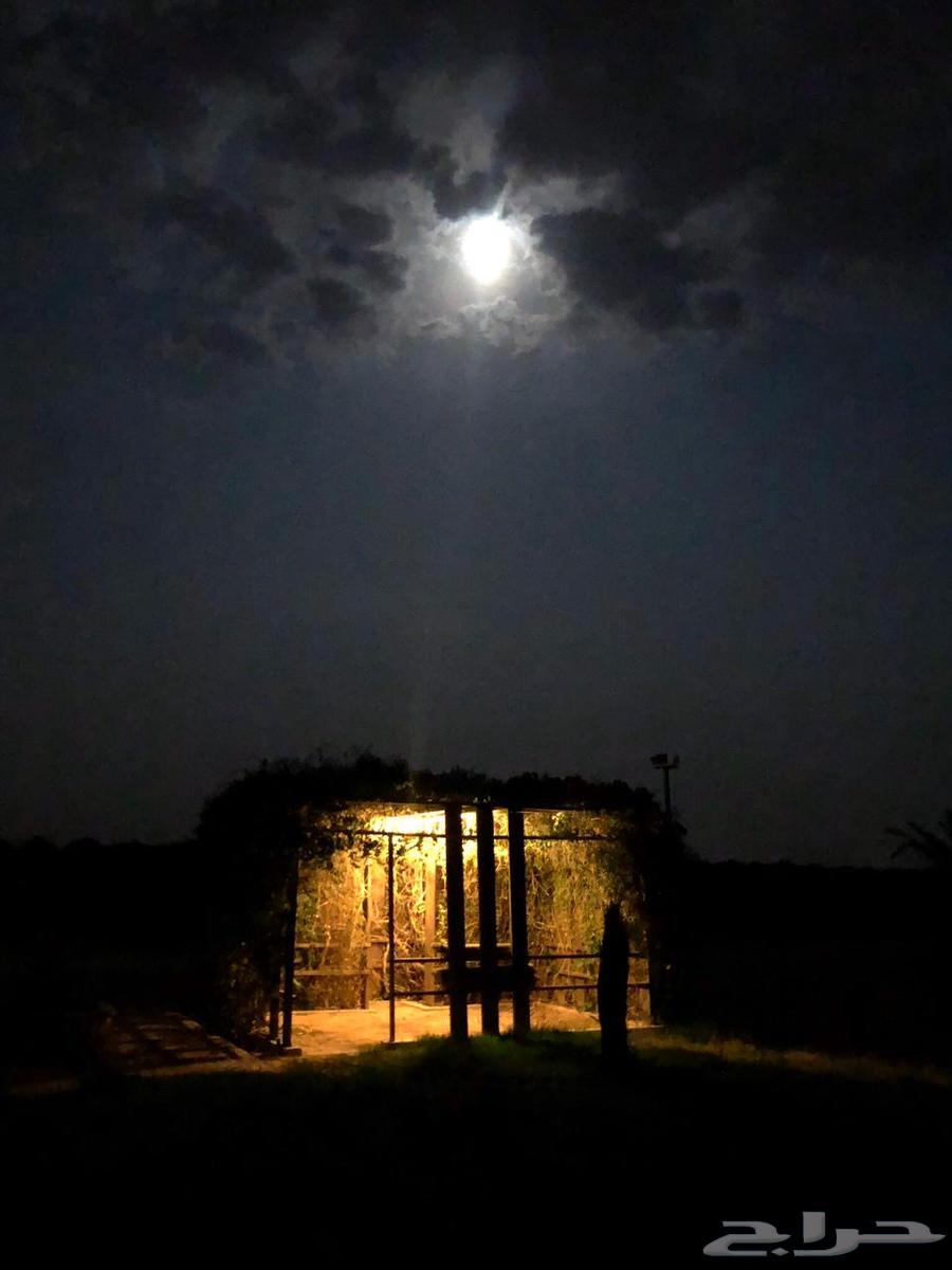 للبيع مزرعة عيون الجواء ( المليدا الشماليه)64481401069185114