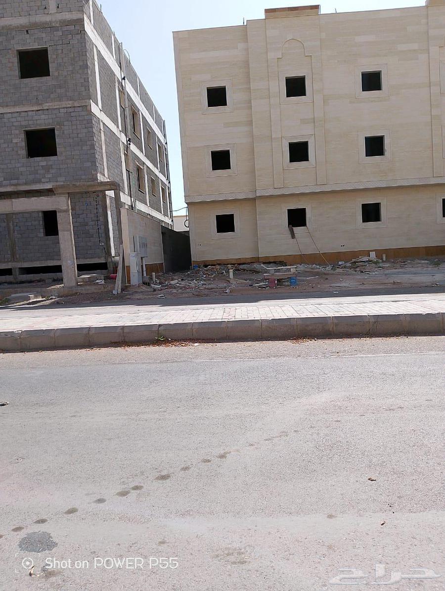 معلم بناء بلك شغل على الشرط64481432834179111