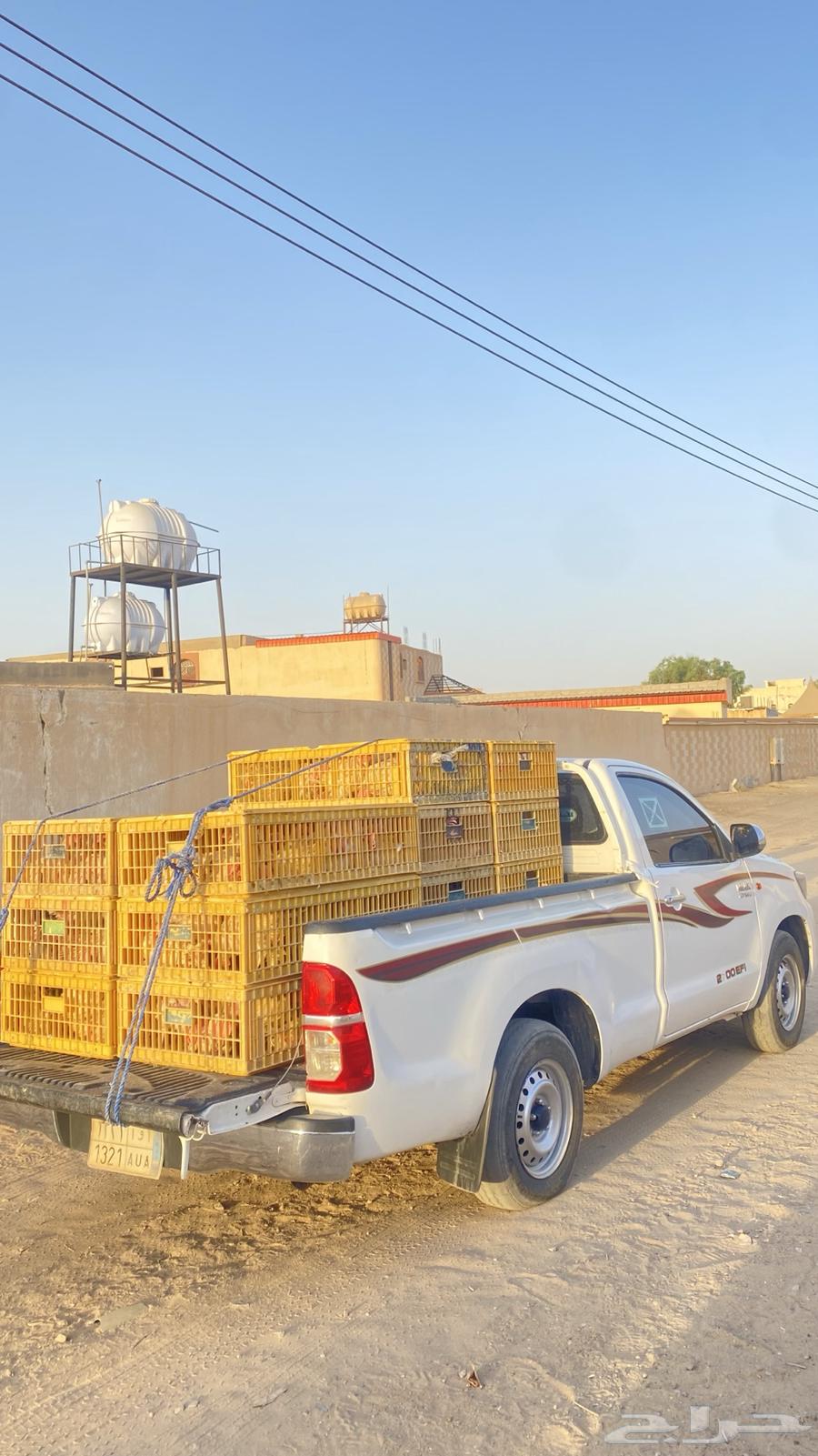 دنه ديانه ونش كرين هيلكس غماره64493660046339113