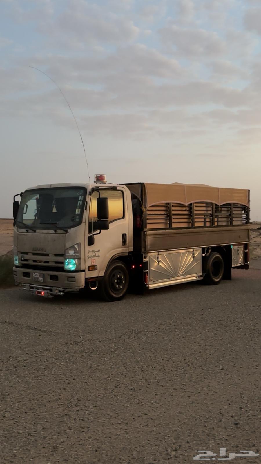 Dina for transporting goods inside or outside Taif64493738391426110