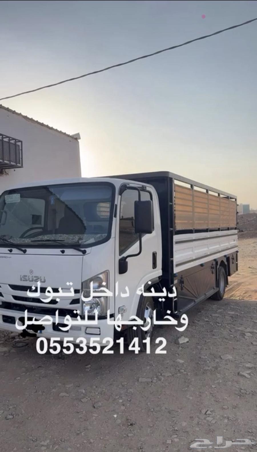 دينا تبوك64493628688385110