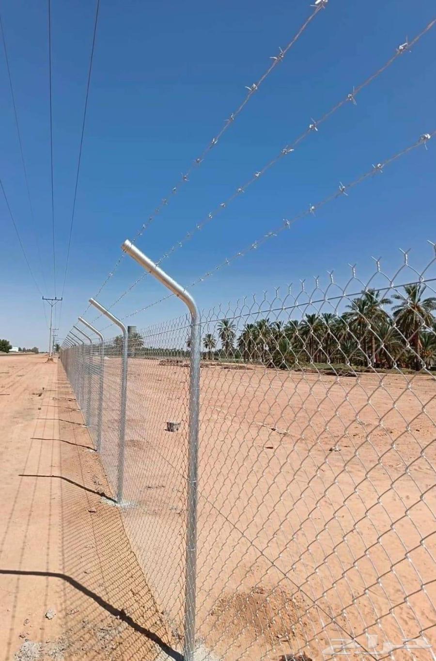 Shabka and palm tree works64501650356227112