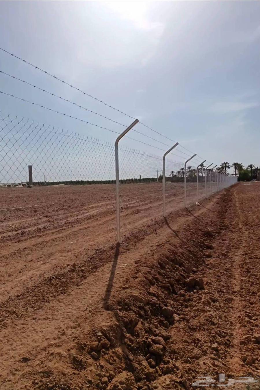 Shabka and palm tree works64501650356227113