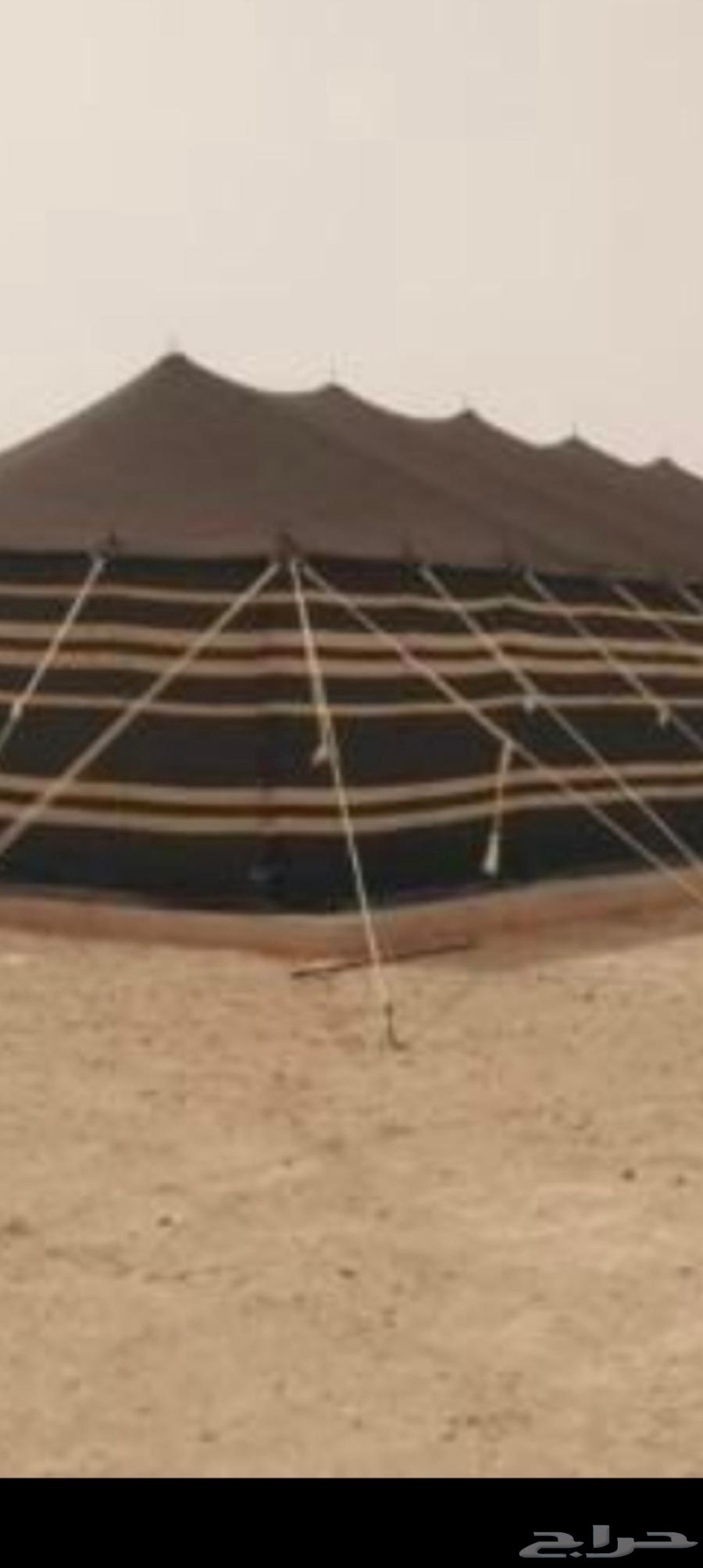 عمال تركيب بناء الخيام وبيوت الشعر المتحركه64501603235075111