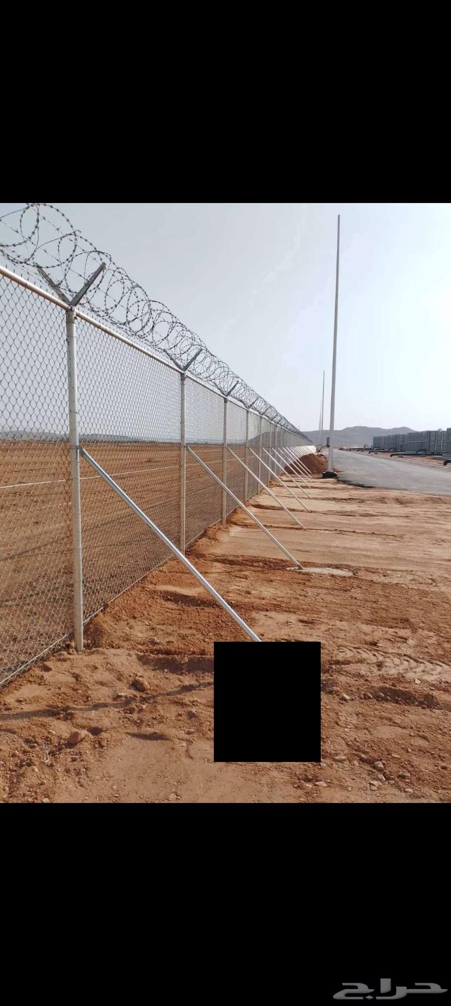 Shabka and palm tree works64501650356227111