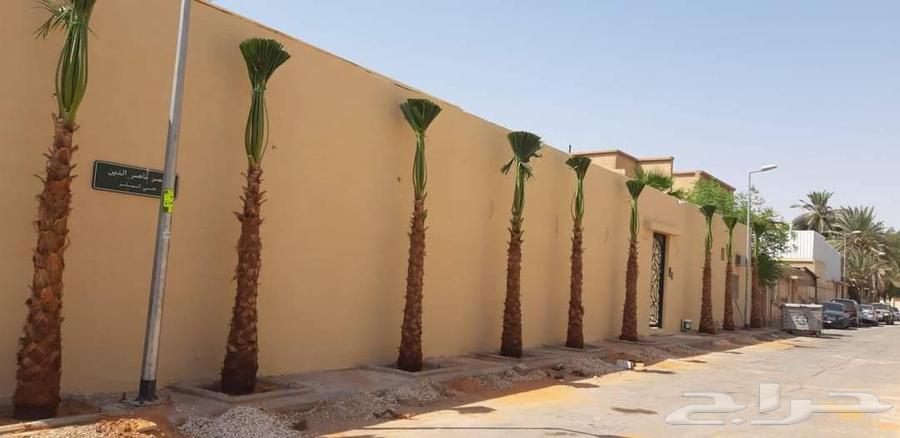 مقاول شبوك ونخل64501587916162114