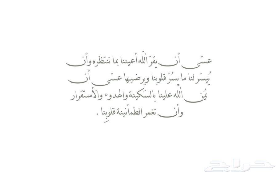 مطلوب شقة ايجار الدفع شهري بعقد سنوي64493658567809110