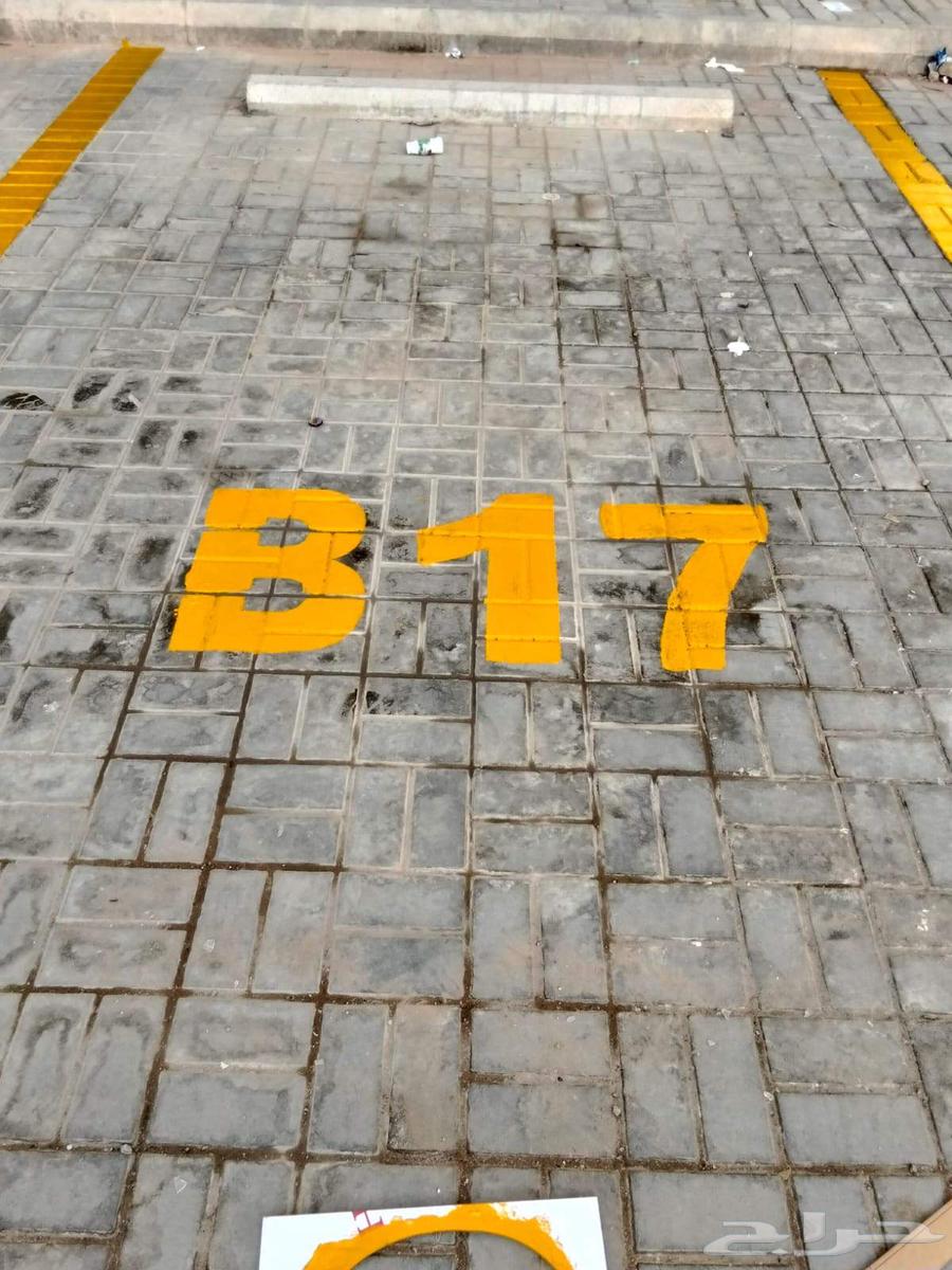 Parking layout with numbered parking spaces at a reasonable price64493675705601111