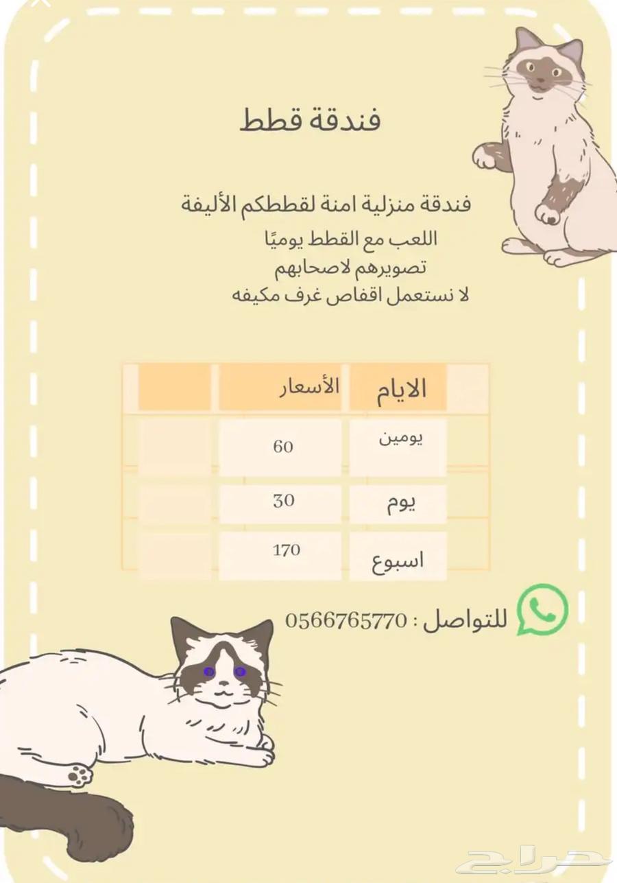 فندقة قطط والأرانب64493644064386110