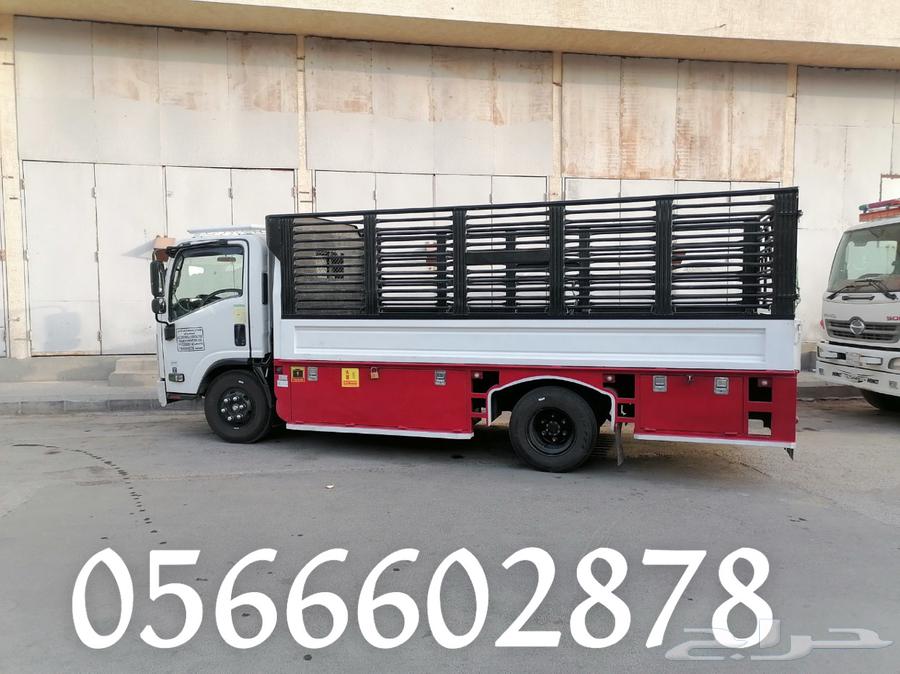 دينا نقل عفش داخل المدينه وخارجها (5) متر64501682717955110