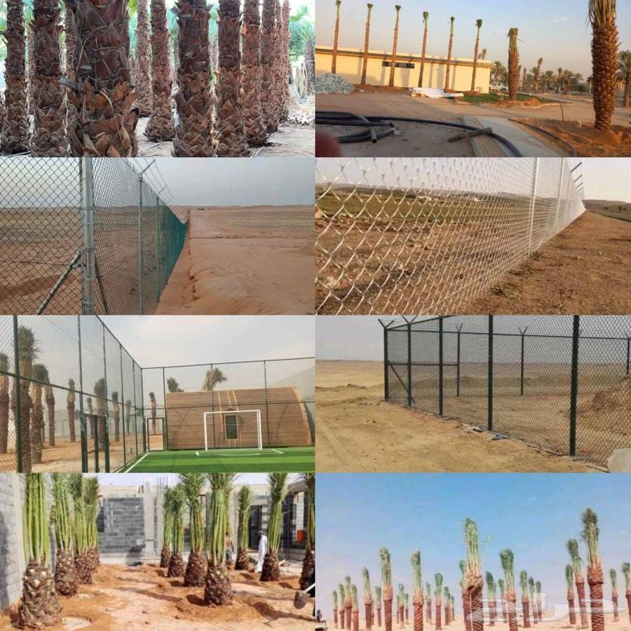 مقاول شبوك ونخل64501587916162110