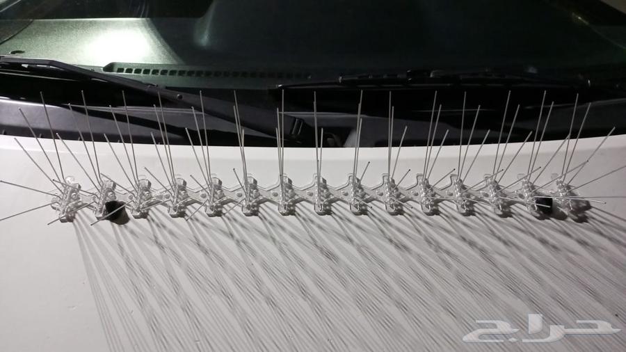 Bird repellent installation, pigeon deterrent, netting, mesh screen64501699906691110