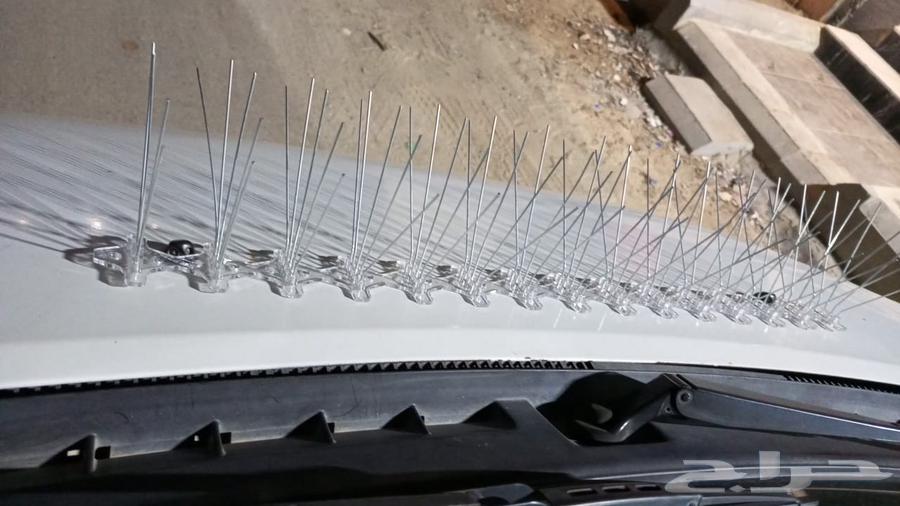 Bird repellent installation, pigeon deterrent, netting, mesh screen64501699906691111