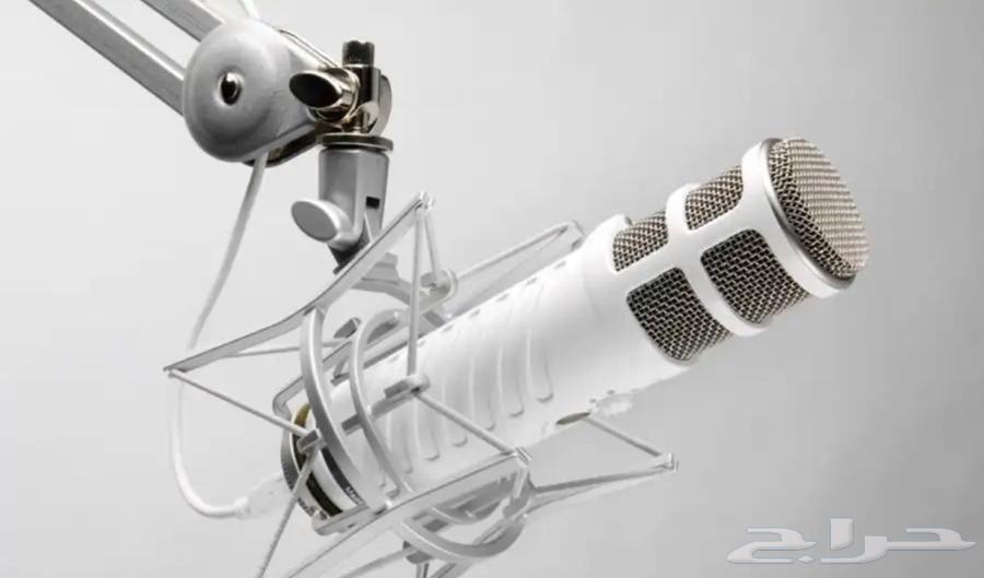 Voiceover and Motion Graphics64501700341761110