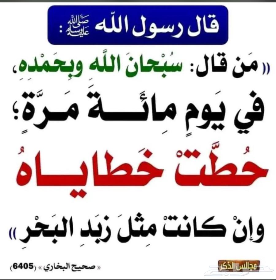 ابحث شقه ايجار مع حوش64493628345987110