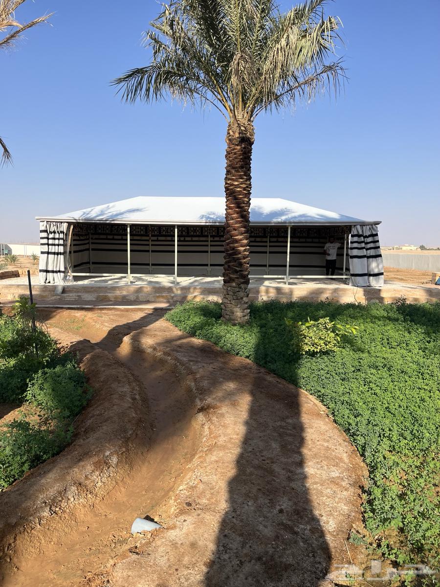 Royal houses disassembly and assembly, all sizes available64501619904643110