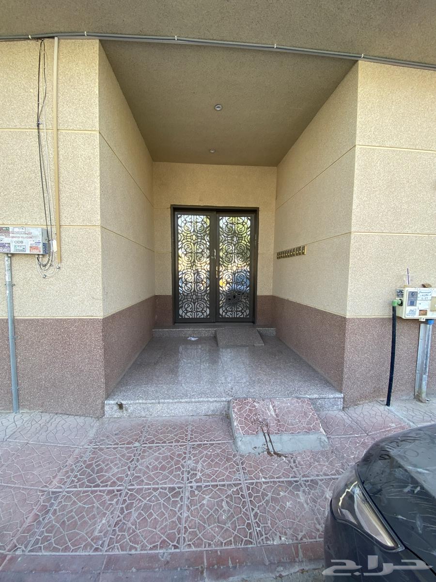 شقة للإيجار