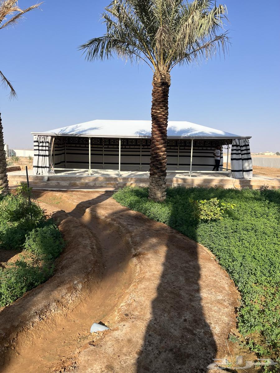 Royal houses disassembly and assembly, all sizes available64501619904643113