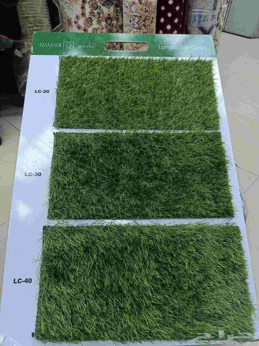Thil and Artificial Grass64493659788419110