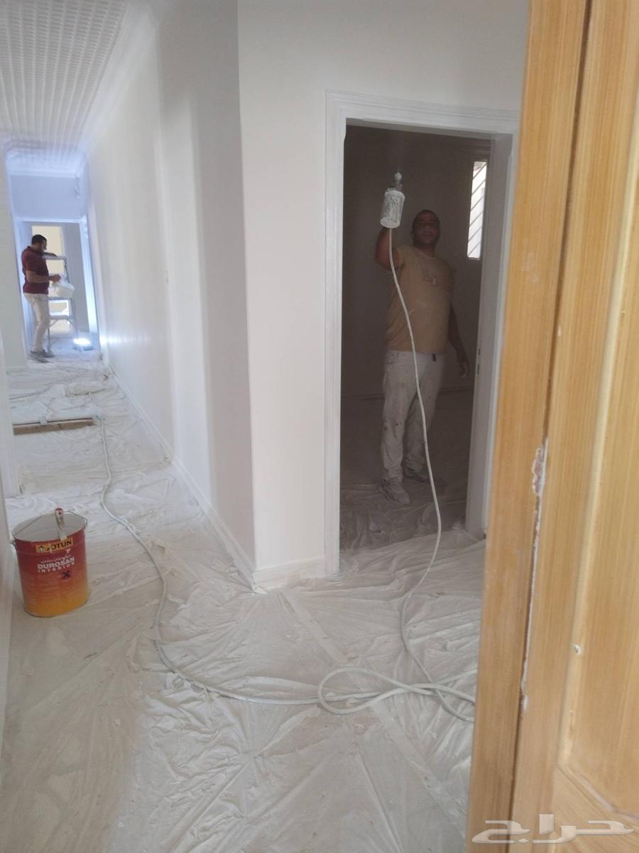 دهان فلل فني دهانات معلم دهانات بالرياض دهان ابواب خشب64501700706178110