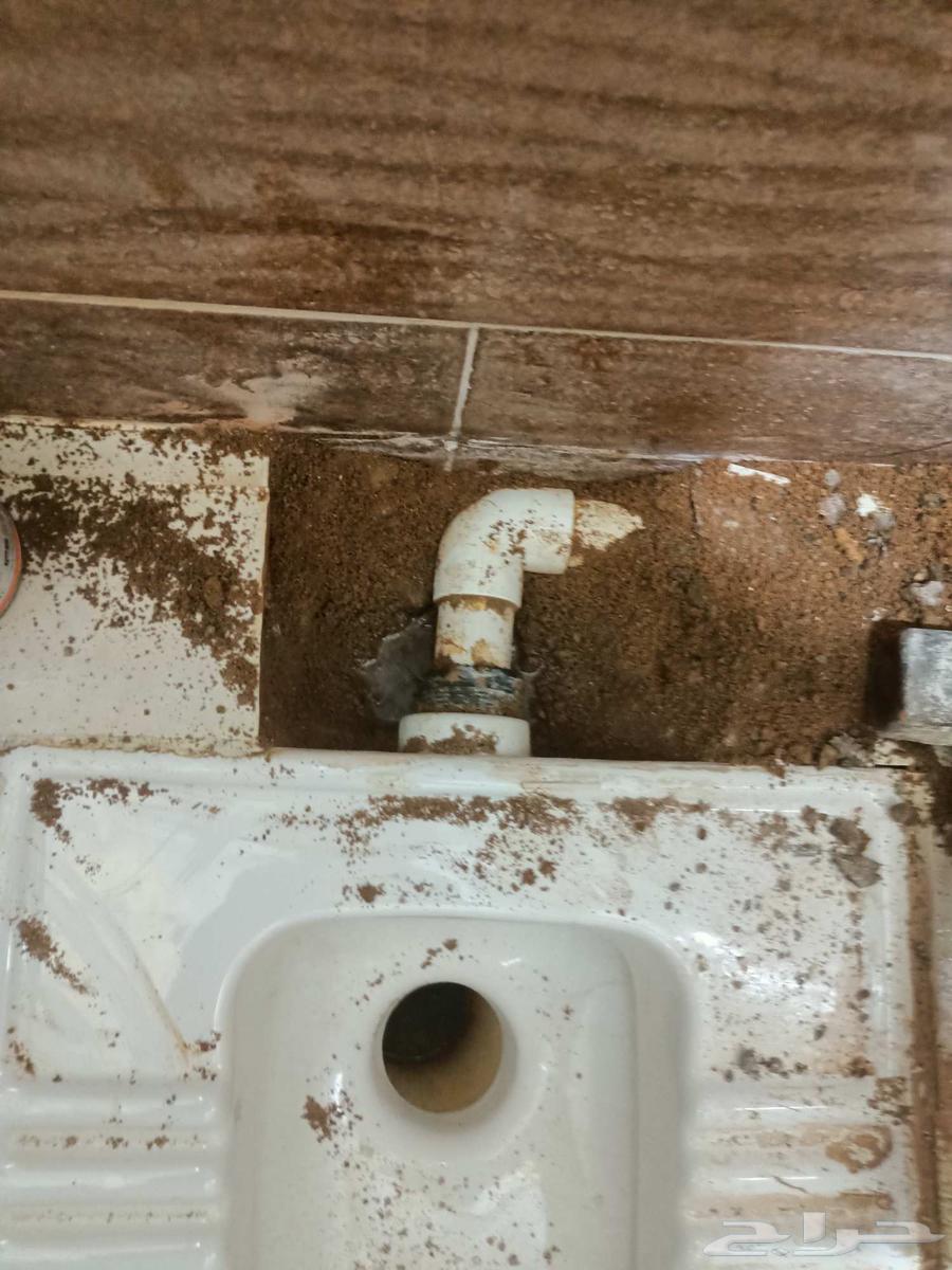 كشف تسربات بالمدينة المنورة باحدث الاجهزة الحديثة64493752672515111