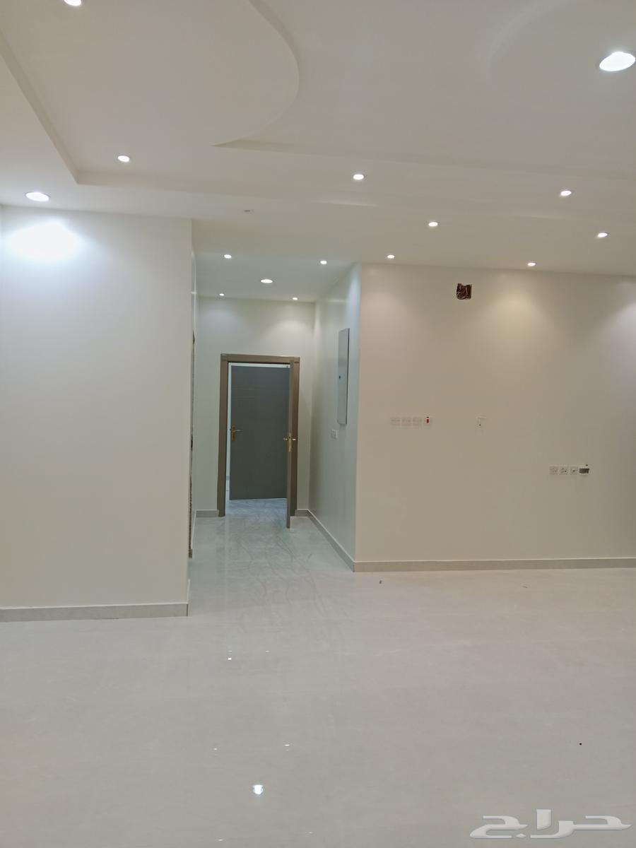 ديكورات وبديل الشيبرد وبديل رخام وورق جدران وبوياء64501683301123114