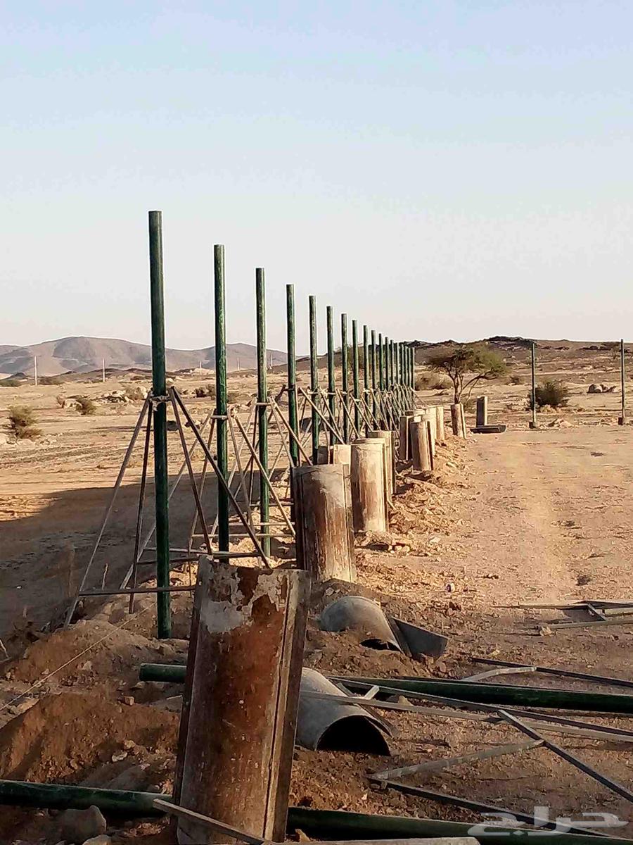 Supply and Installation Company of Wire Mesh, Fence Mesh, Road Mesh, Farm Mesh, and More64501714914305113