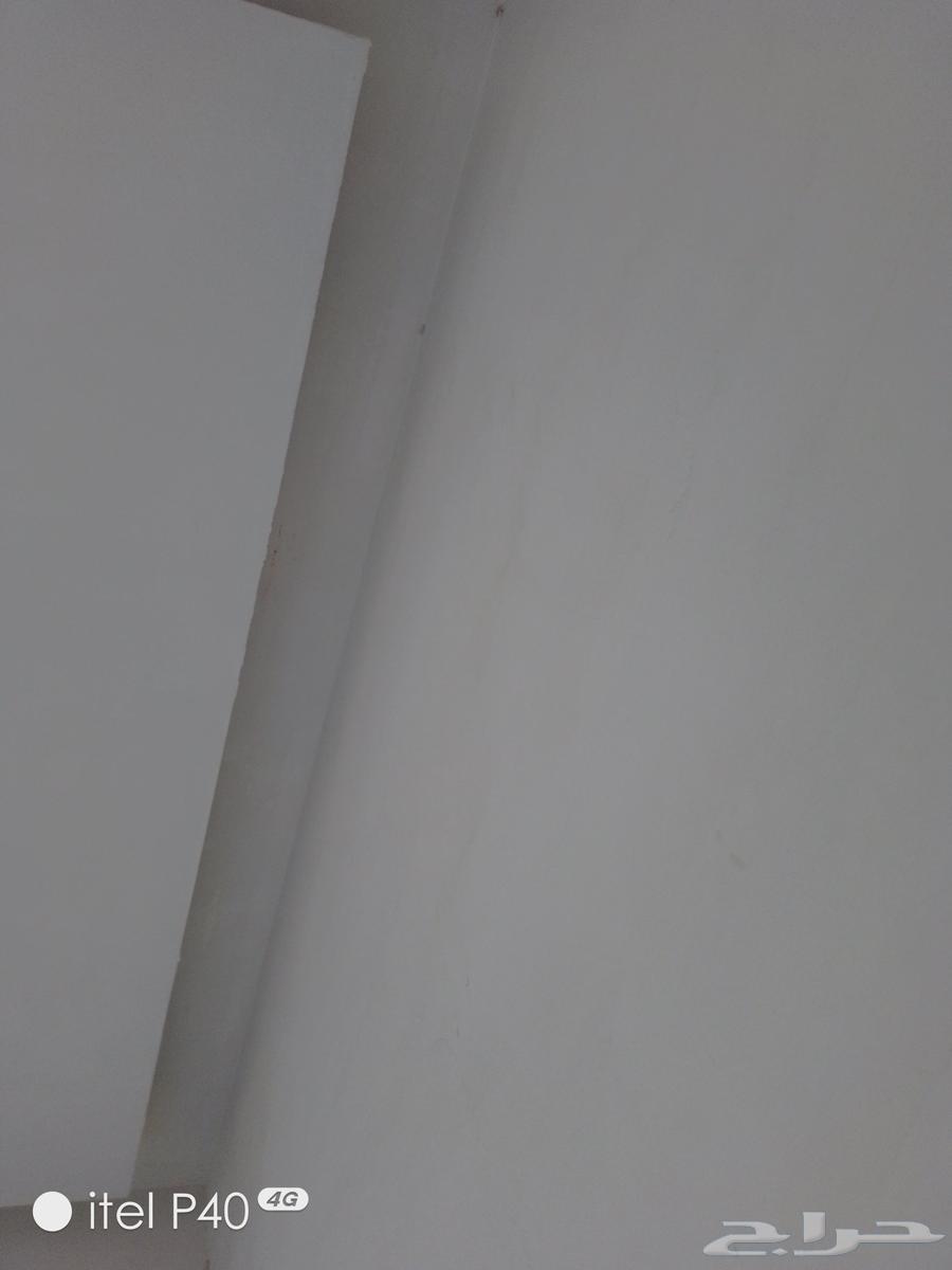 جبس ديكورات جبس بورد مملم جبس عادى مملم64493737373571110