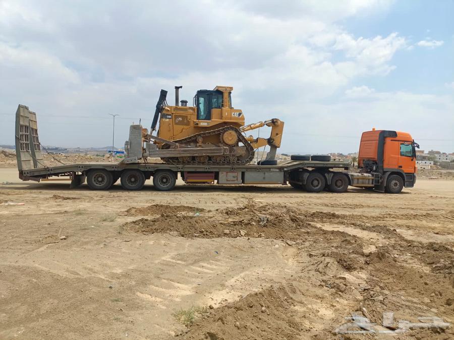 لوبد متواجد في الرياض64493691294211112