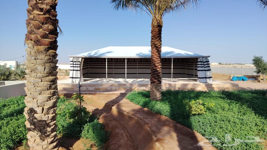 Royal houses disassembly and assembly, all sizes available64501619904643112